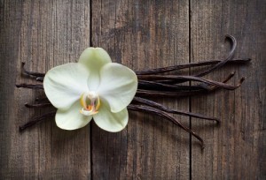 Flor de Baunílha