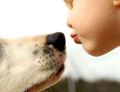 cachorros-entendem-beijinhos-02